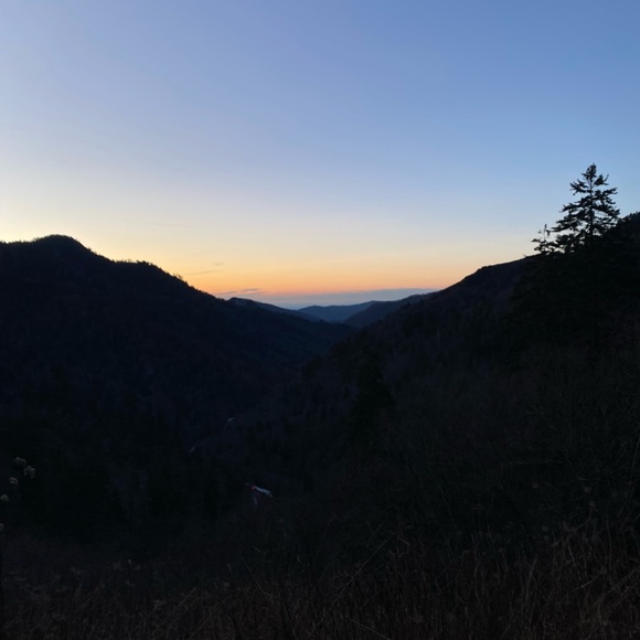 Meet your Posher, Alexis - Picture 1 of 1